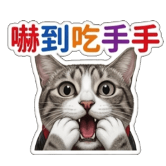 招財的日常
