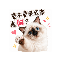 翔太亂七八糟
