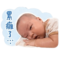 菲。