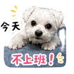 林家寶寶碎碎念