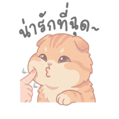 MikangTheCat