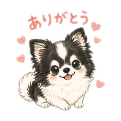 ontan_20260430230822