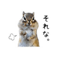 mikoto_20260430231308