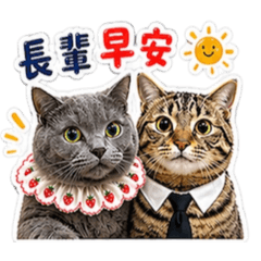 迪迪娜娜_greeting