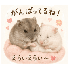 Ruirui_20260430231338