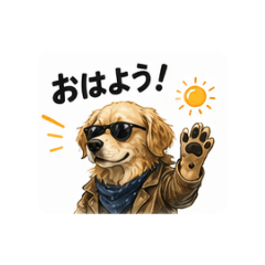Ringo_20260502124012