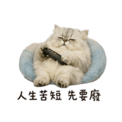 木瓜的軟爛生活-我不想上班