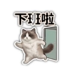阿餃工作日常