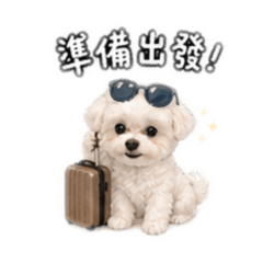 可愛的鍾錢錢