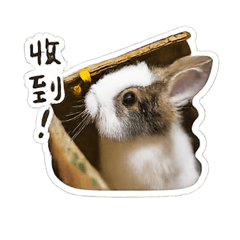 ㄚ哺啾的part1