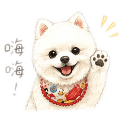 博美 吉吉 生活常用
