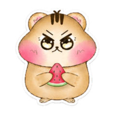 Hamstargie with Watermelon