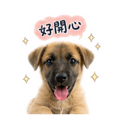 默默日常實用篇2