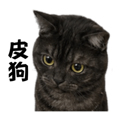 猛虎下山