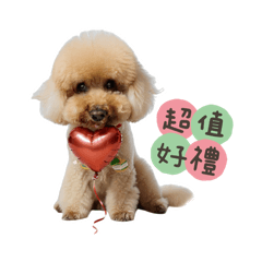貴賓賣蛋糕