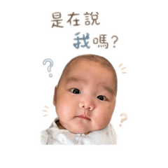 奶黃包寶可愛日常
