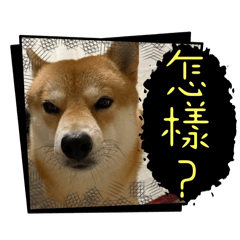 蛤好無聊喔喔