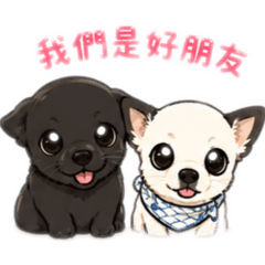 DUODUO BROTHER