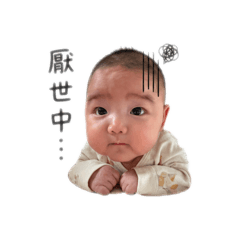 厭世の奶黃包寶