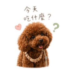 Cookie吃什麼？