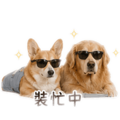 柯金不想上班