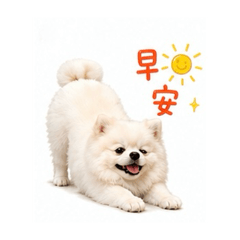 小寶貝寶寶