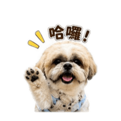 嘎逼&貝貝2
