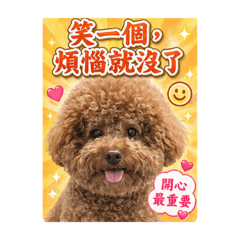 旺多長輩圖