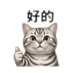 小美墨墨