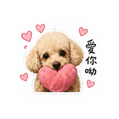 Dudu0922