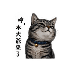 臭臉兒子 01