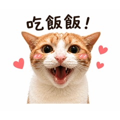 19的生活