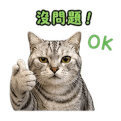 喵星火拳人