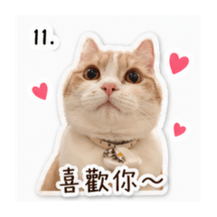 可愛的小糖糖