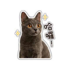 麻吉say hi 2.0