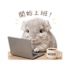 龍貓工作日常