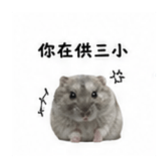 薯條 雞塊 雪碧