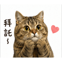 可愛貝果 生活貼圖第一彈