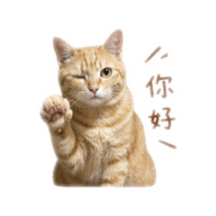 小貴圓第二彈