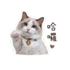 棉花糖軟萌日常
