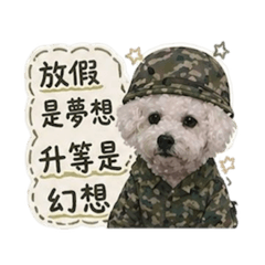 寶厭世日常