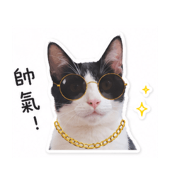 Hoodie叫胡迪2