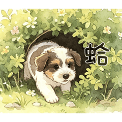 波比波比波比波比