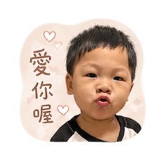 迪寶的生活用語❤️