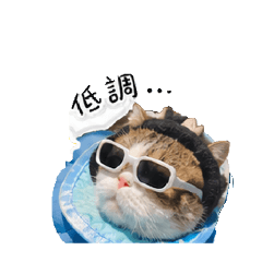 白色貓系列