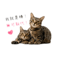 多多嘟嘟