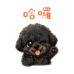 哈囉我是Money！