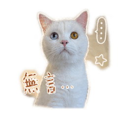 歐尼醬2