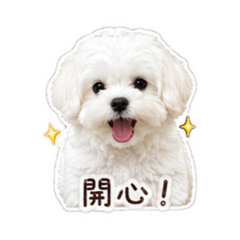 初一是我！！