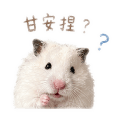 蔡小波日常